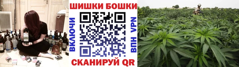 наркотики  Магадан  Шишки марихуана Amnesia 